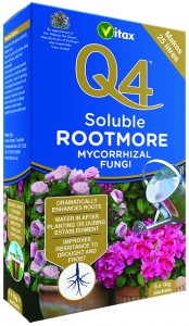 Q4 ROOTMORE SOLUBLE 10g